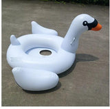 Aqua Oasis Pool Float