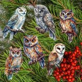 Night Owls Decorative Wooden Clip-on Ornaments of 6 by G. Debrekht - Christmas Decor - 8090004C-S6