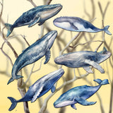 Coastal Giants Humpback Whales Decorative Wooden Clip-on Ornaments Set of 6 by G. Debrekht - Wildlife Decor - 8090103C-S6