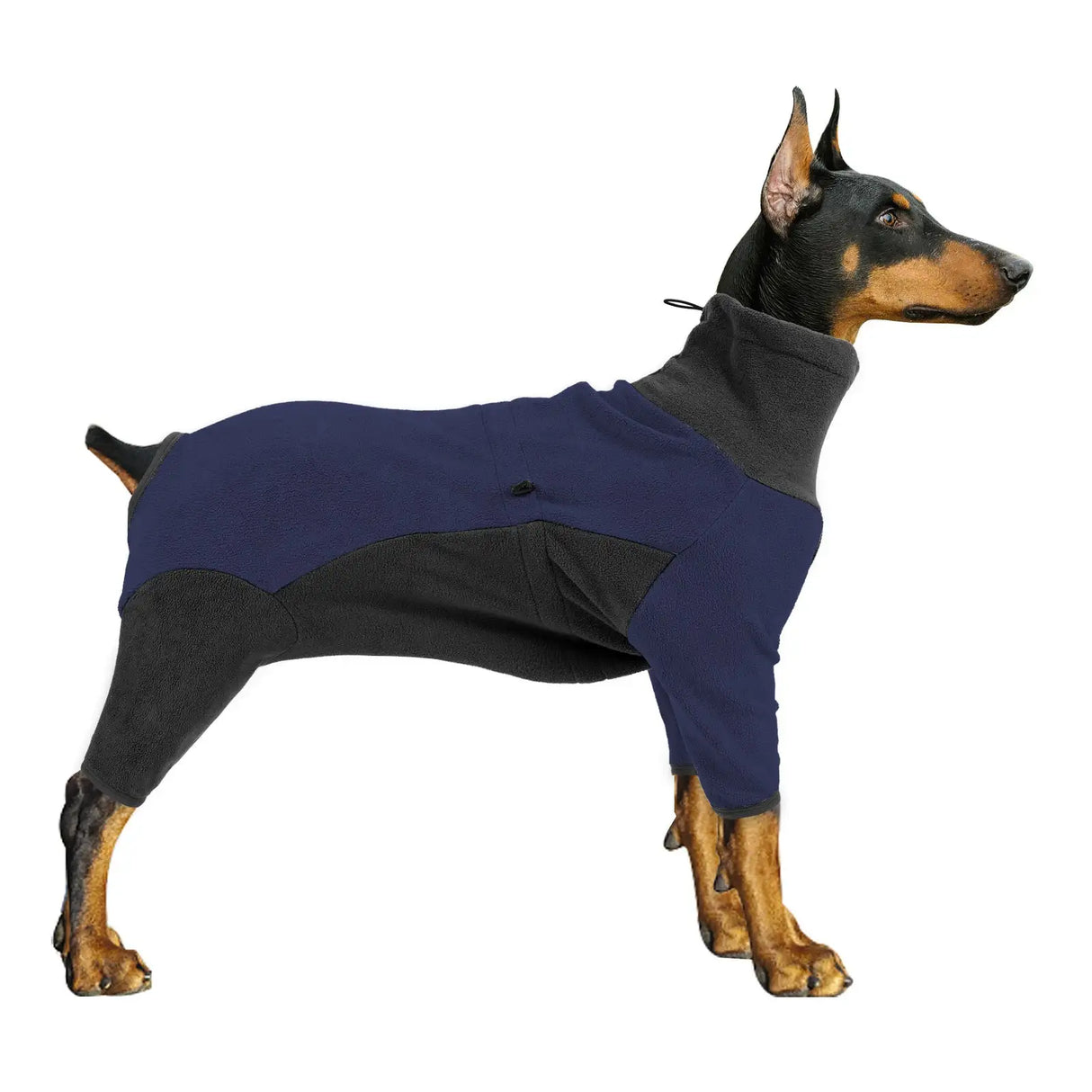 Dog Clothes Cold Proof And Warm Pet In Winter Warm Pets Supplies - Lootquake