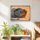 Arte mural costero de madera con foca de Speier de Nature Wonders - Decoración costera con vida marina - 95260B