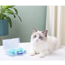 Adjustable Cat Foot Claw Cover Anti-Scratch Prickly Nail Glove Cat Boots For Cats Only, Anti-Scratch Cat Feet Claw Covers Adjustable Prickly Anti-Off Shoes Nail Glove - Lootquake