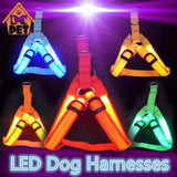 Bright Night Pet LED Harness
