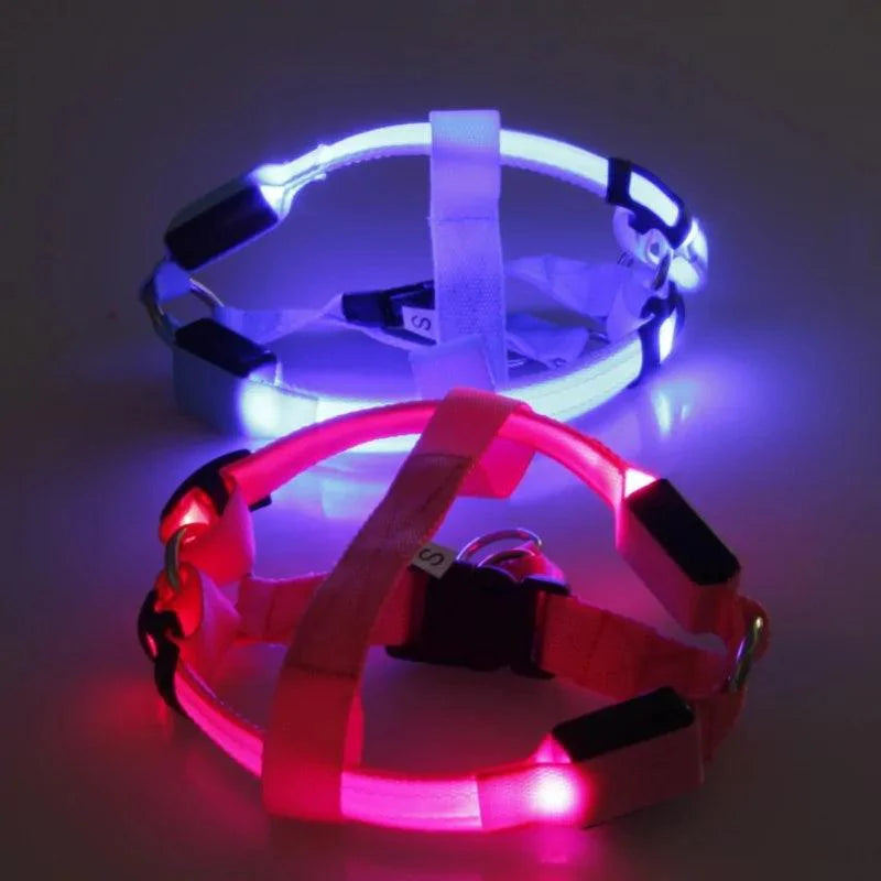 Bright Night Pet LED Harness
