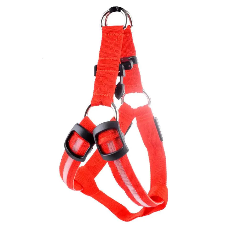 Bright Night Pet LED Harness