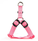Bright Night Pet LED Harness