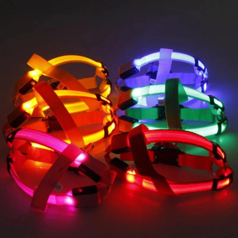 Bright Night Pet LED Harness