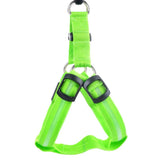 Bright Night Pet LED Harness