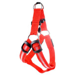 Bright Night Pet LED Harness