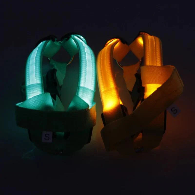 Bright Night Pet LED Harness