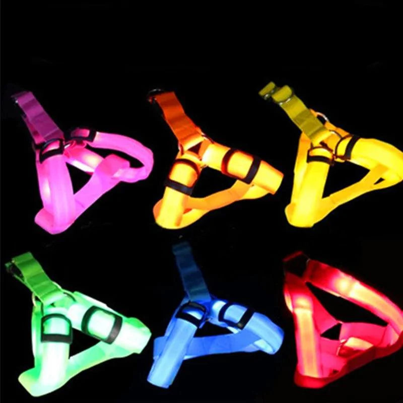 Bright Night Pet LED Harness