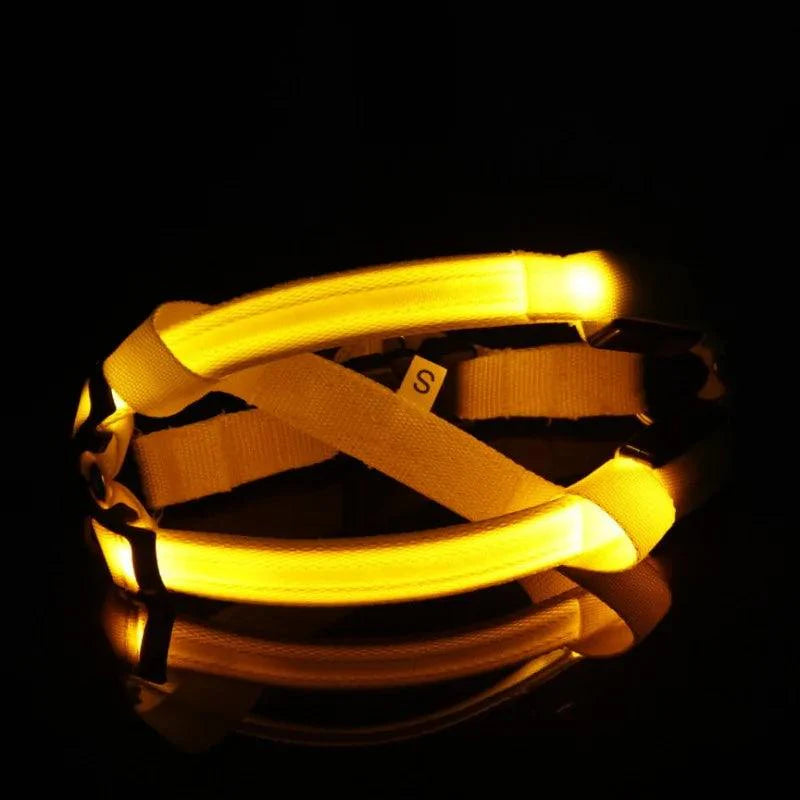 Bright Night Pet LED Harness