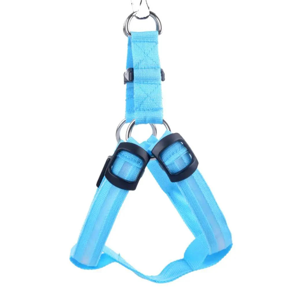 Bright Night Pet LED Harness