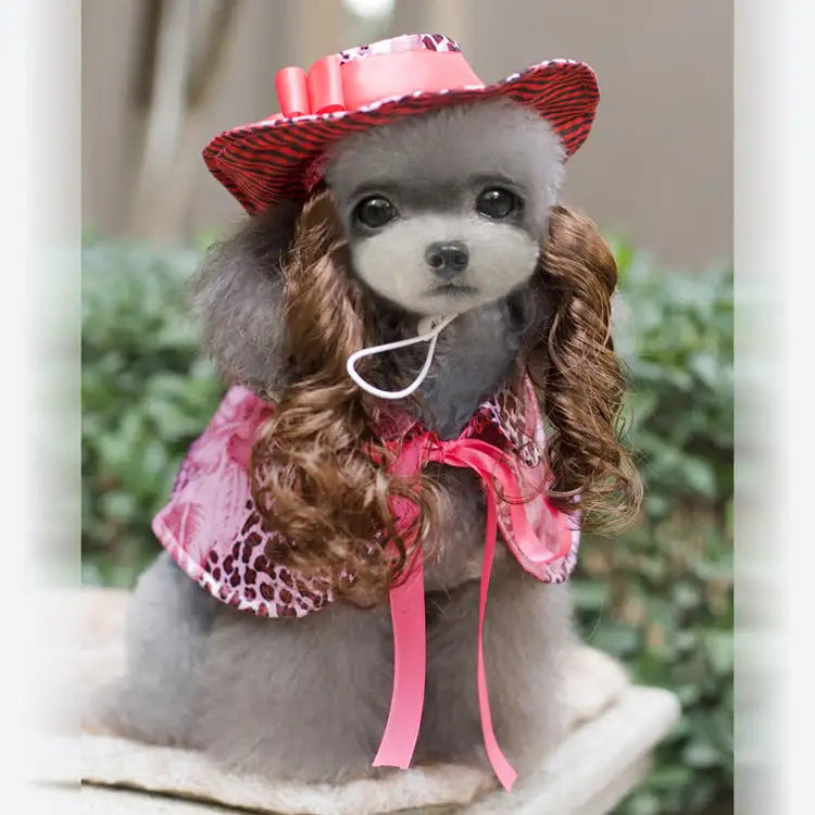 Christmas Pet Clothes Funny   Pet Clothing Apparel - Lootquake