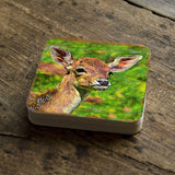 Deer Face Wooden Cork Coasters Gift Set of 4 by Nature Wonders - Nature Wildlife Decor  - 95288C-S4