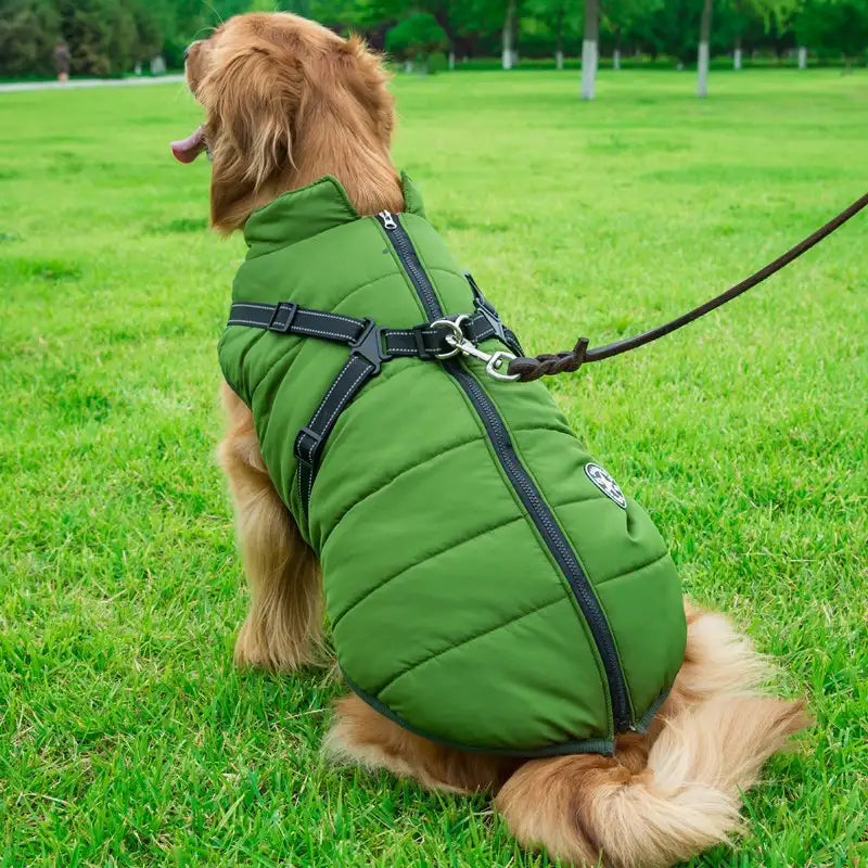Pet Dog Clothes For Small Dogs Winter Warm Dog Hooded Coat Jackets Chihuahua Pug Outfits Puppy Cat Clothing - Lootquake
