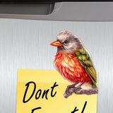 Juego de 6 imanes decorativos de madera con pájaros invernales de G. Debrekht - Decoración navideña - 8090005G-S6