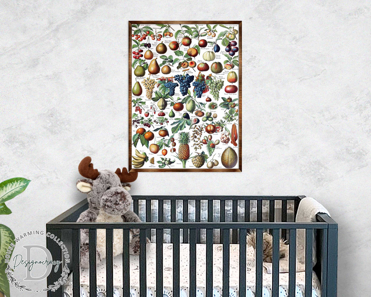 Fruit Montessori Wooden Poster - Homeschool I Educational Poster - Classroom Decor - Aesthetic - 310223