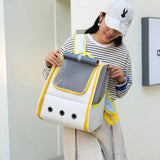 Chic Foldable Cat Carrier