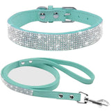 Chic Pet Walk Set