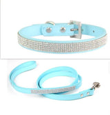 Chic Pet Walk Set