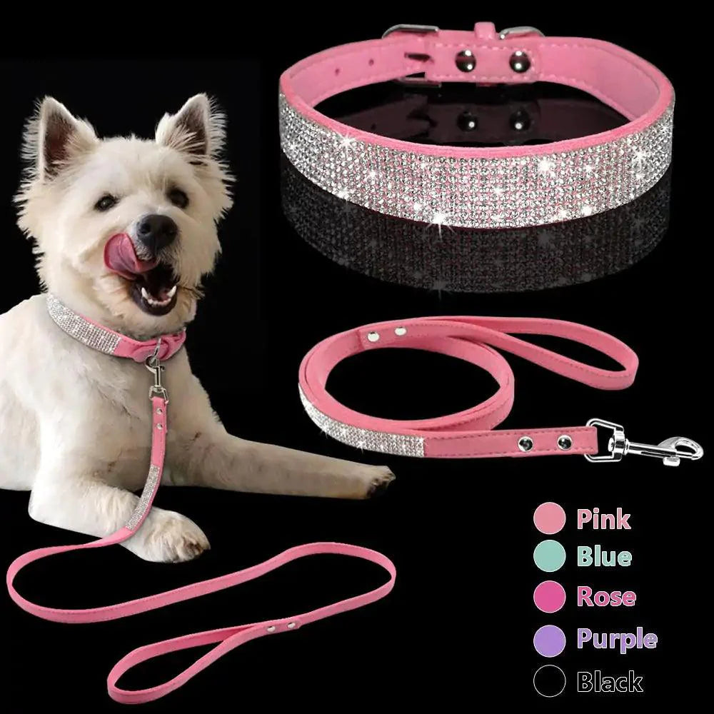 Chic Pet Walk Set