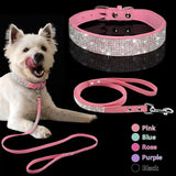 Chic Pet Walk Set