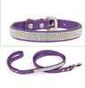 Chic Pet Walk Set