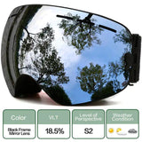 ClearView Anti-Fog Ski Goggles