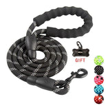 Comfy Control Dog Walking Leash