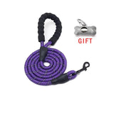 Comfy Control Dog Walking Leash