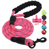 Comfy Control Dog Walking Leash