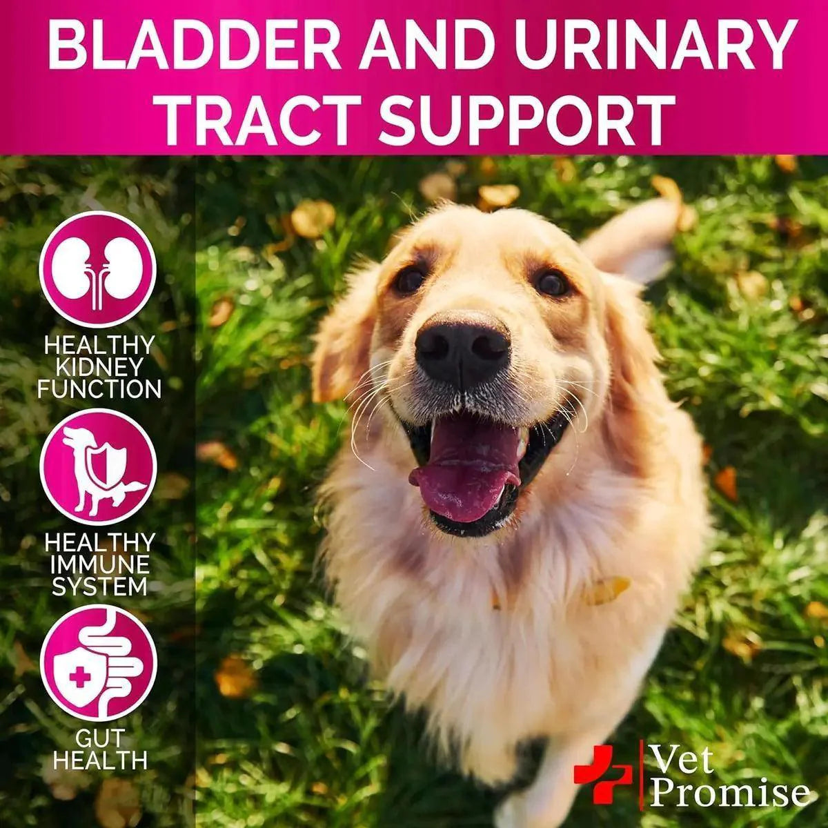 Cranberry Dog UTI & Bladder Control Chews