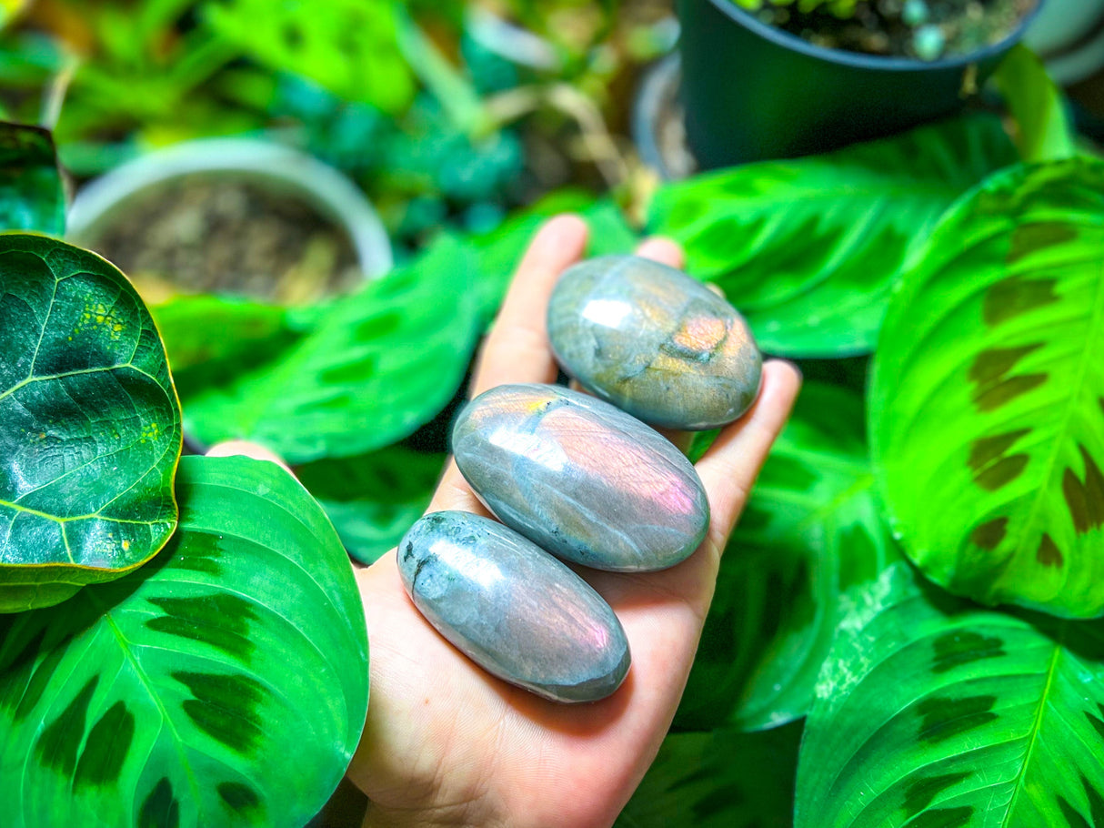 SUNSET Labradorite Palm Stone, Orange Labradorite, Yellow Labradorite, Pink Labradorite