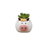 Cute Bull/Cow Succulent Planter