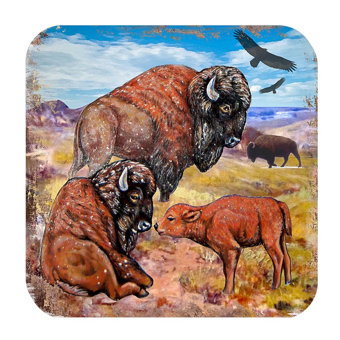 Buffalos Wooden Cork Coasters Gift Set of 4 by Nature Wonders - Nature Wildlife Decor  - 95217C-S4