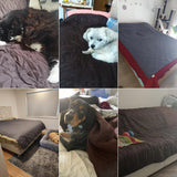 1 funda de cama para perro y manta para mascotas, sofá, colchón, protector de incontinencia para coche, funda de sofá para la mayoría de gatos y perros.