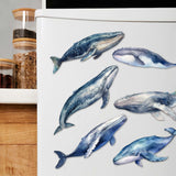 Coastal Giants Humpback Whales Decorative Wooden Magnets Set of 6 by G. Debrekht - Wildlife Decor - 8090103G-S6