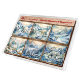 Polar Bear Wooden Cork Placemat and Coasters Gift Set of 7 by Nature Wonders Nature Wildlife Decor  - 85404C-S7