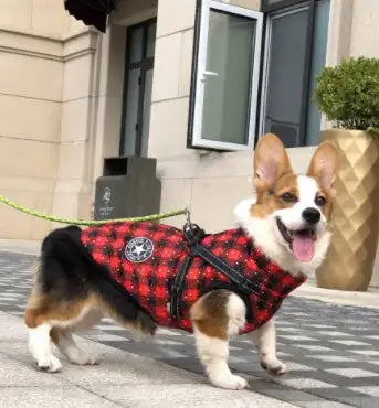 Pet Dog Clothes For Small Dogs Winter Warm Dog Hooded Coat Jackets Chihuahua Pug Outfits Puppy Cat Clothing - Lootquake