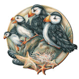 Send in the Clowns Puffins Wall Art by J. Bergsma - Wildlife Holiday Decor - 8591848W-JB