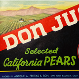 Discover Vintage 1940s Don Juan Pears San Juan Crate Label