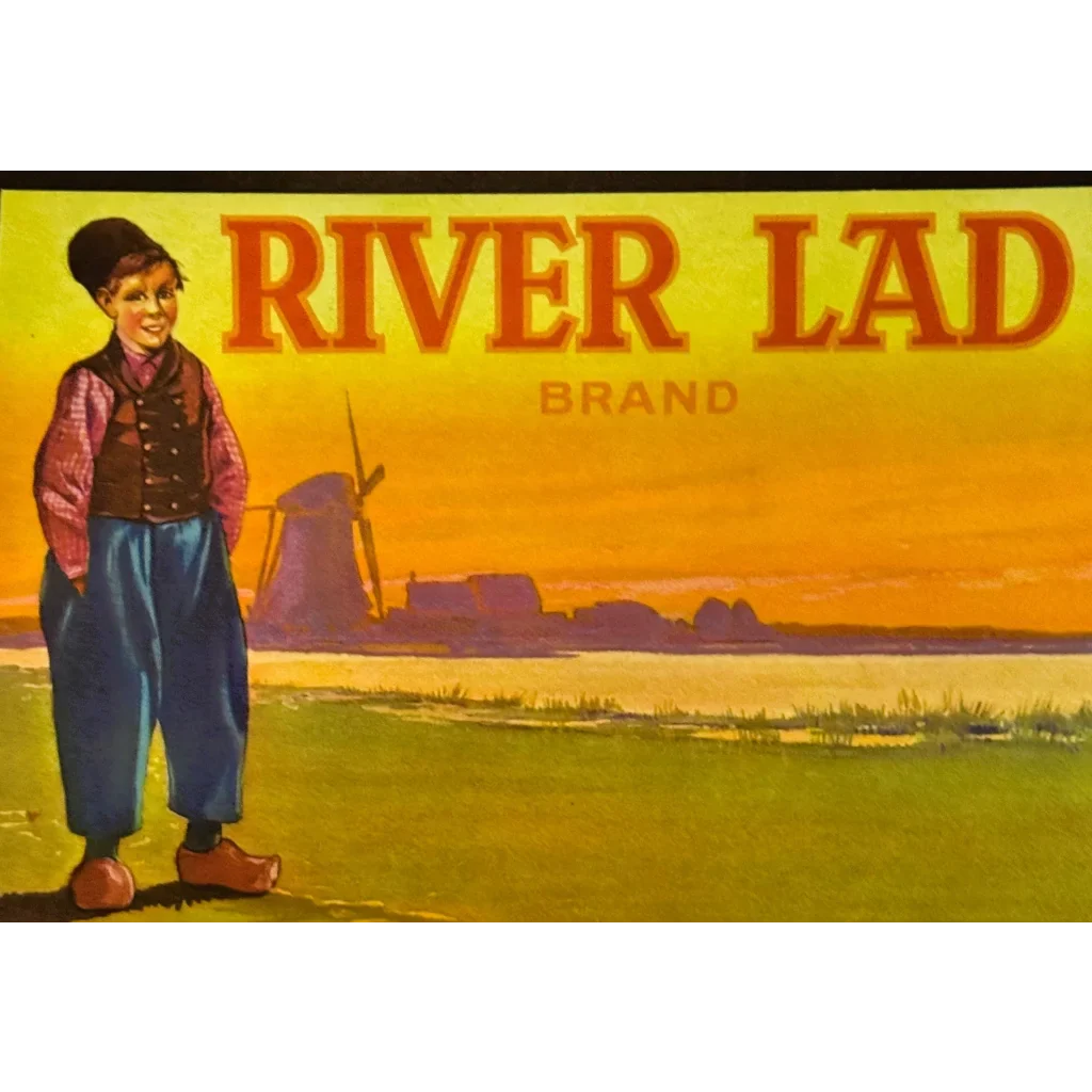 Discover Vintage Blue Goose Asparagus Crate Label from River Lad