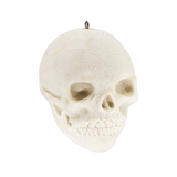 Sugar Skull: DIY