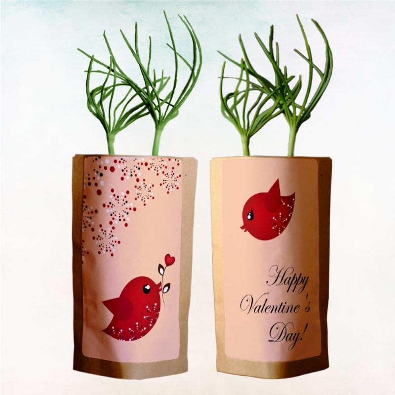 Happy Valentine's Day