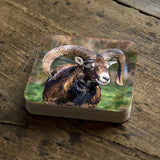 Mountain Goat Wooden Cork Coasters Gift Set of 4 by Nature Wonders - Nature Wildlife Decor  - 95369C-S4