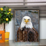 Eagle Portrait Art Wooden Wall Art by Nature Wonders - Nature Wildlife Decor  - 95296B