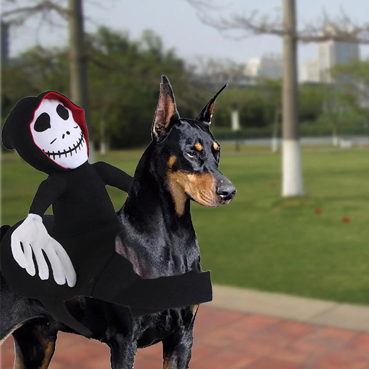 NEW Funny Pet Halloween Costume Halloween Pet Decoration Dress Up Pet Cosplay Costume Halloween Pet Clothes Spider Pumpkin Vest - Lootquake