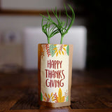 Happy Thanksgiving Greeting