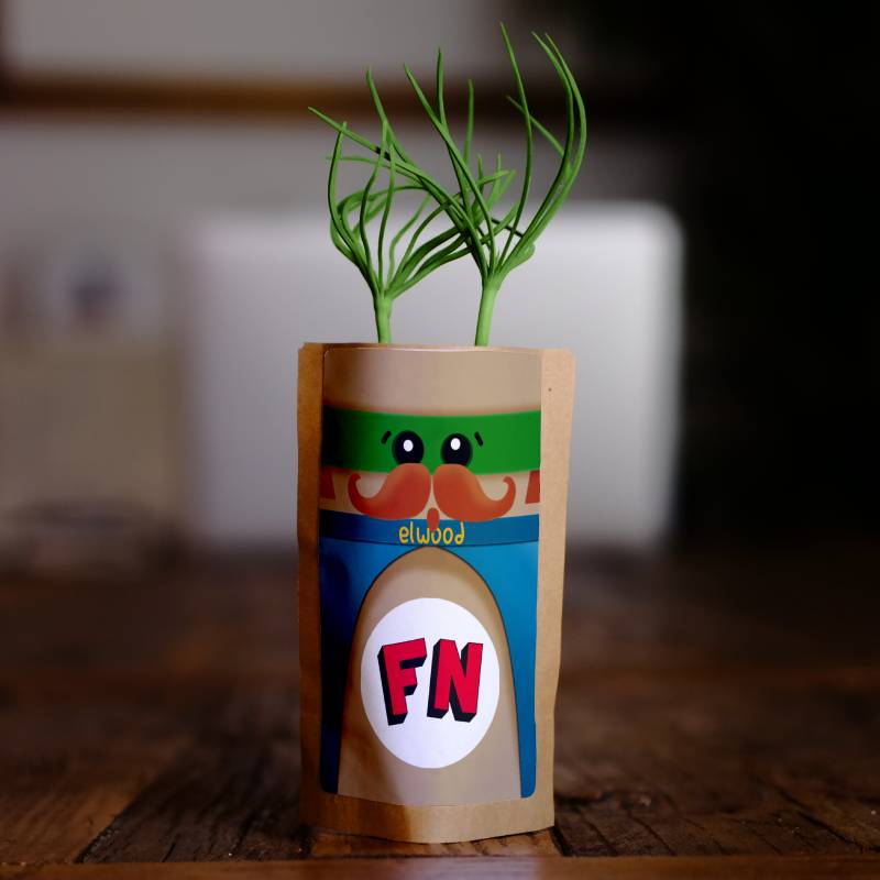 Elwood - ForestNation Guardian